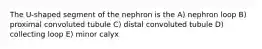 The U-shaped segment of the nephron is the A) nephron loop B) proximal convoluted tubule C) distal convoluted tubule D) collecting loop E) minor calyx