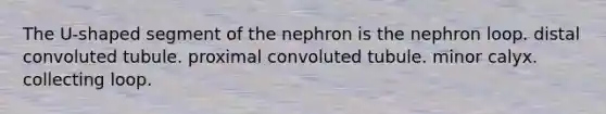 The U-shaped segment of the nephron is the nephron loop. distal convoluted tubule. proximal convoluted tubule. minor calyx. collecting loop.