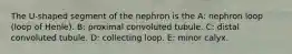 The U-shaped segment of the nephron is the A: nephron loop (loop of Henle). B: proximal convoluted tubule. C: distal convoluted tubule. D: collecting loop. E: minor calyx.