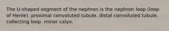 The U-shaped segment of the nephron is the nephron loop (loop of Henle). proximal convoluted tubule. distal convoluted tubule. collecting loop. minor calyx.