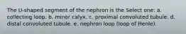 The U-shaped segment of the nephron is the Select one: a. collecting loop. b. minor calyx. c. proximal convoluted tubule. d. distal convoluted tubule. e. nephron loop (loop of Henle).