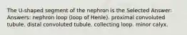 The U-shaped segment of the nephron is the Selected Answer: Answers: nephron loop (loop of Henle). proximal convoluted tubule. distal convoluted tubule. collecting loop. minor calyx.