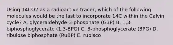 Using 14CO2 as a radioactive tracer, which of the following molecules would be the last to incorporate 14C within the Calvin cycle? A. glyceraldehyde-3-phosphate (G3P) B. 1,3-biphosphoglycerate (1,3-BPG) C. 3-phosphoglycerate (3PG) D. ribulose biphosphate (RuBP) E. rubisco