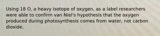 Using 18 O, a heavy isotope of oxygen, as a label researchers were able to confirm van Niel's hypothesis that the oxygen produced during photosynthesis comes from water, not carbon dioxide.