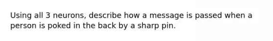 Using all 3 neurons, describe how a message is passed when a person is poked in the back by a sharp pin.