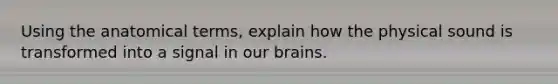 Using the anatomical terms, explain how the physical sound is transformed into a signal in our brains.