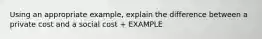 Using an appropriate example, explain the difference between a private cost and a social cost + EXAMPLE