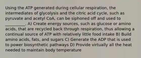 Using the ATP generated during cellular respiration, the intermediates of glycolysis and the citric acid cycle, such as pyruvate and acetyl CoA, can be siphoned off and used to __________. A) Create energy sources, such as glucose or amino acids, that are recycled back through respiration, thus allowing a continual source of ATP with relatively little food intake B) Build amino acids, fats, and sugars C) Generate the ADP that is used to power biosynthetic pathways D) Provide virtually all the heat needed to maintain body temperature