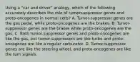 Using a "car and driver" analogy, which of the following accurately describes the role of tumorsuppressor genes and proto-oncogenes in normal cells? A. Tumor-suppressor genes are the gas pedal, while proto-oncogenes are the brakes. B. Tumor-suppressor genes are the brakes while proto-oncogenes are the gas. C. Both tumor-suppressor genes and proto-oncogenes are like the gas, but tumor-suppressors are like turbo and proto-oncogenes are like a regular carburetor. D. Tumor-suppressor genes are like the steering wheel, and proto-oncogenes are like the turn signals.