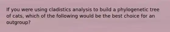 If you were using cladistics analysis to build a phylogenetic tree of cats, which of the following would be the best choice for an outgroup?