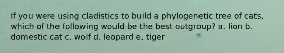 If you were using cladistics to build a phylogenetic tree of cats, which of the following would be the best outgroup? a. lion b. domestic cat c. wolf d. leopard e. tiger