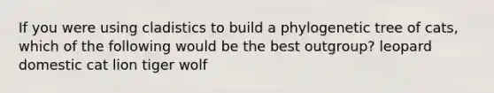 If you were using cladistics to build a phylogenetic tree of cats, which of the following would be the best outgroup? leopard domestic cat lion tiger wolf
