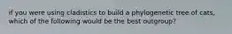 if you were using cladistics to build a phylogenetic tree of cats, which of the following would be the best outgroup?