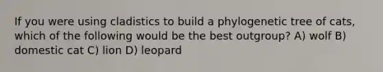If you were using cladistics to build a phylogenetic tree of cats, which of the following would be the best outgroup? A) wolf B) domestic cat C) lion D) leopard