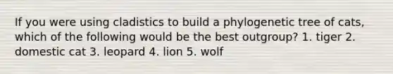 If you were using cladistics to build a phylogenetic tree of cats, which of the following would be the best outgroup? 1. tiger 2. domestic cat 3. leopard 4. lion 5. wolf