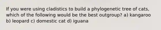 If you were using cladistics to build a phylogenetic tree of cats, which of the following would be the best outgroup? a) kangaroo b) leopard c) domestic cat d) iguana