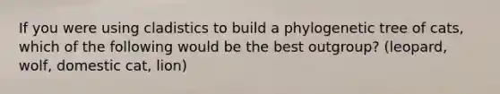 If you were using cladistics to build a phylogenetic tree of cats, which of the following would be the best outgroup? (leopard, wolf, domestic cat, lion)