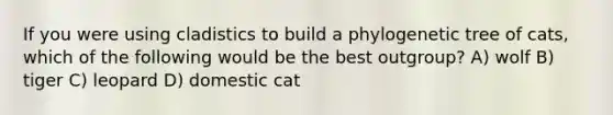 If you were using cladistics to build a phylogenetic tree of cats, which of the following would be the best outgroup? A) wolf B) tiger C) leopard D) domestic cat