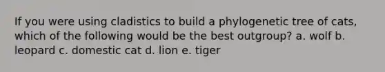 If you were using cladistics to build a phylogenetic tree of cats, which of the following would be the best outgroup? a. wolf b. leopard c. domestic cat d. lion e. tiger