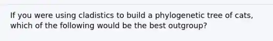 If you were using cladistics to build a phylogenetic tree of cats, which of the following would be the best outgroup?