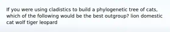 If you were using cladistics to build a phylogenetic tree of cats, which of the following would be the best outgroup? lion domestic cat wolf tiger leopard