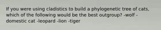 If you were using cladistics to build a phylogenetic tree of cats, which of the following would be the best outgroup? -wolf -domestic cat -leopard -lion -tiger