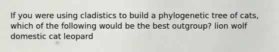 If you were using cladistics to build a phylogenetic tree of cats, which of the following would be the best outgroup? lion wolf domestic cat leopard