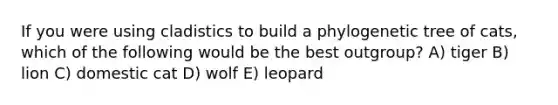 If you were using cladistics to build a phylogenetic tree of cats, which of the following would be the best outgroup? A) tiger B) lion C) domestic cat D) wolf E) leopard