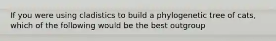 If you were using cladistics to build a phylogenetic tree of cats, which of the following would be the best outgroup
