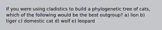 If you were using cladistics to build a phylogenetic tree of cats, which of the following would be the best outgroup? a) lion b) tiger c) domestic cat d) wolf e) leopard