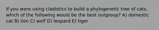 If you were using cladistics to build a phylogenetic tree of cats, which of the following would be the best outgroup? A) domestic cat B) lion C) wolf D) leopard E) tiger