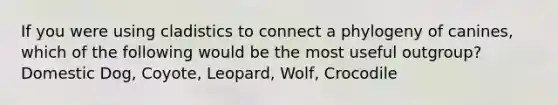 If you were using cladistics to connect a phylogeny of canines, which of the following would be the most useful outgroup? Domestic Dog, Coyote, Leopard, Wolf, Crocodile