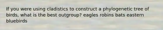 If you were using cladistics to construct a phylogenetic tree of birds, what is the best outgroup? eagles robins bats eastern bluebirds