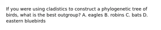 If you were using cladistics to construct a phylogenetic tree of birds, what is the best outgroup? A. eagles B. robins C. bats D. eastern bluebirds