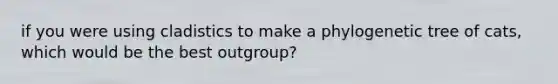 if you were using cladistics to make a phylogenetic tree of cats, which would be the best outgroup?