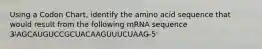 Using a Codon Chart, identify the amino acid sequence that would result from the following mRNA sequence 3'̶AGCAUGUCCGCUACAAGUUUCUAAG ̶5'