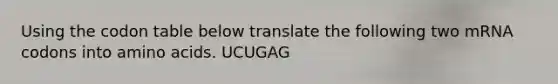 Using the codon table below translate the following two mRNA codons into amino acids. UCUGAG