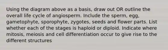 Using the diagram above as a basis, draw out OR outline the overall life cycle of angiosperm. Include the sperm, egg, gametophyte, sporophyte, zygotes, seeds and flower parts. List whether each of the stages is haploid or diploid. Indicate where mitosis, meiosis and cell differentiation occur to give rise to the different structures