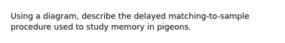 Using a diagram, describe the delayed matching-to-sample procedure used to study memory in pigeons.