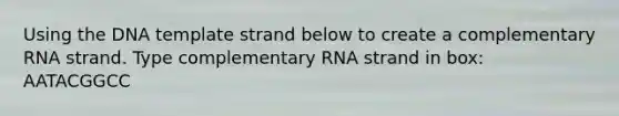 Using the DNA template strand below to create a complementary RNA strand. Type complementary RNA strand in box: AATACGGCC