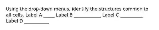 Using the drop-down menus, identify the structures common to all cells. Label A _____ Label B ____________ Label C __________ Label D ___________