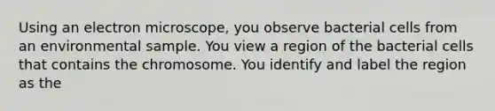 Using an electron microscope, you observe bacterial cells from an environmental sample. You view a region of the bacterial cells that contains the chromosome. You identify and label the region as the