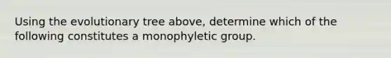 Using the evolutionary tree above, determine which of the following constitutes a monophyletic group.