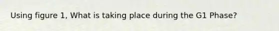 Using figure 1, What is taking place during the G1 Phase?