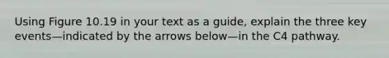 Using Figure 10.19 in your text as a guide, explain the three key events—indicated by the arrows below—in the C4 pathway.