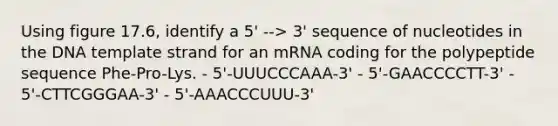 Using figure 17.6, identify a 5' --> 3' sequence of nucleotides in the DNA template strand for an mRNA coding for the polypeptide sequence Phe-Pro-Lys. - 5'-UUUCCCAAA-3' - 5'-GAACCCCTT-3' - 5'-CTTCGGGAA-3' - 5'-AAACCCUUU-3'