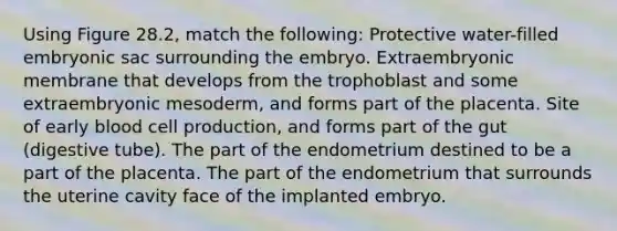 Using Figure 28.2, match the following: Protective water-filled embryonic sac surrounding the embryo. Extraembryonic membrane that develops from the trophoblast and some extraembryonic mesoderm, and forms part of the placenta. Site of early blood cell production, and forms part of the gut (digestive tube). The part of the endometrium destined to be a part of the placenta. The part of the endometrium that surrounds the uterine cavity face of the implanted embryo.