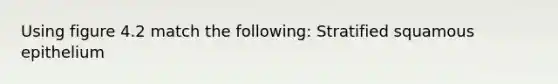Using figure 4.2 match the following: Stratified squamous epithelium