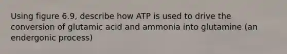 Using figure 6.9, describe how ATP is used to drive the conversion of glutamic acid and ammonia into glutamine (an endergonic process)