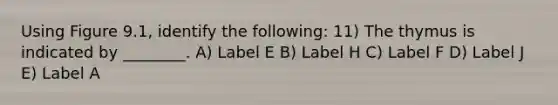 Using Figure 9.1, identify the following: 11) The thymus is indicated by ________. A) Label E B) Label H C) Label F D) Label J E) Label A